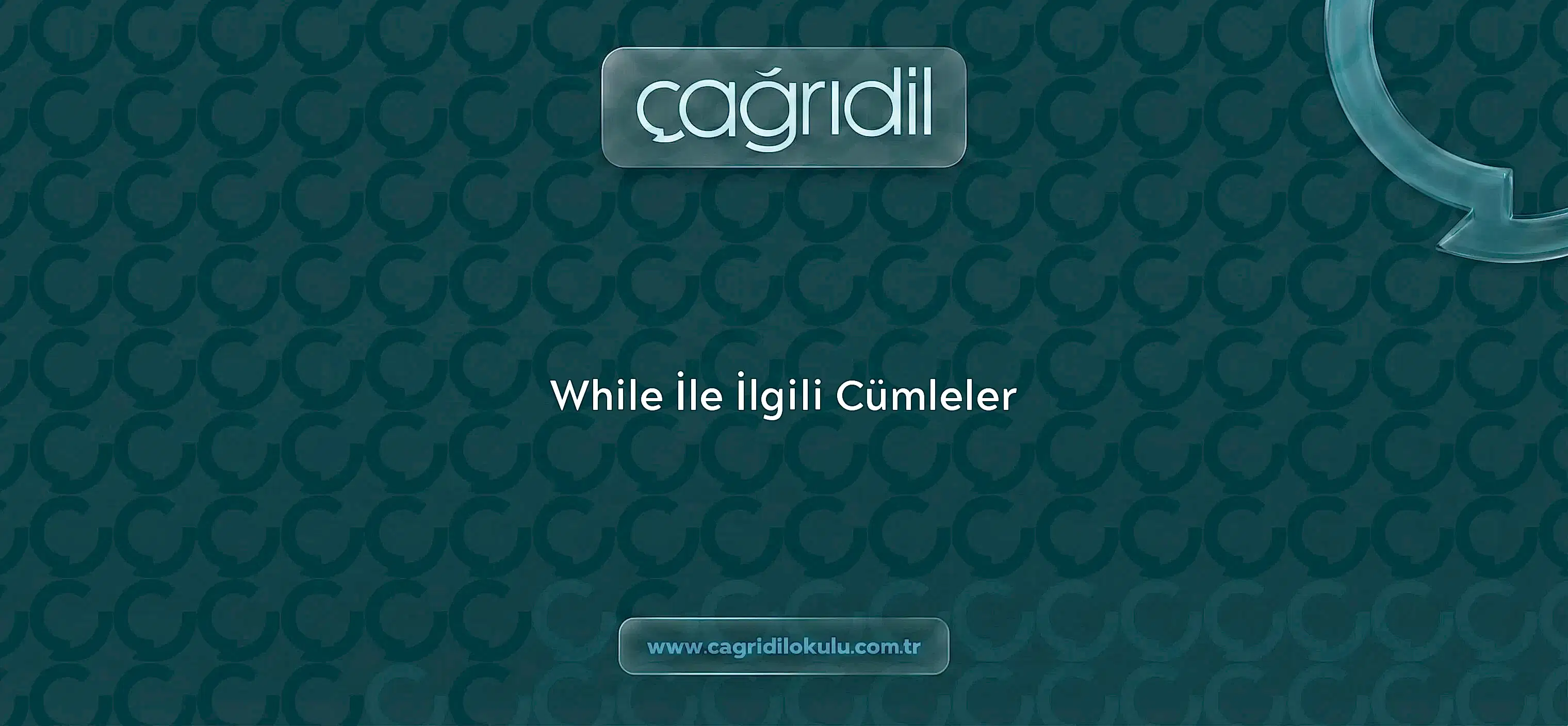 While İle İlgili Cümleler